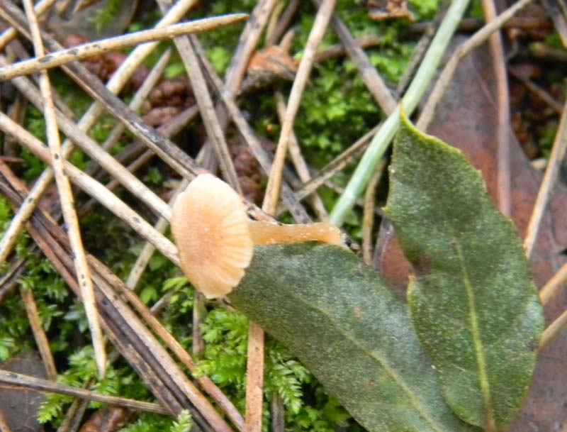 Alcuni ritrovamenti del 15.03.2011.